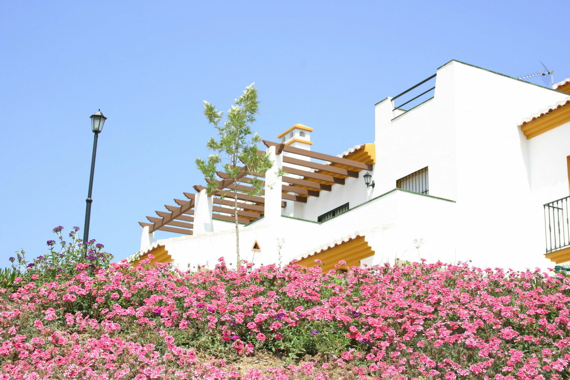Castillo De Zalia Conjunto Rural 알카우씬 외부 사진